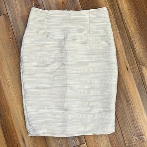 H&M Pencil Skirt